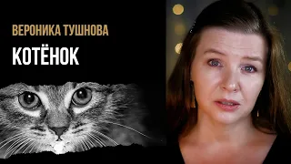 Вероника Тушнова “Котёнок” - стихи о животных