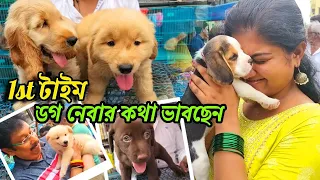 Galiff Street Pet Market Kolkata | 1st টাইম ডগ নেবার কথা ভাবছেন | dog market in kolkata | Dogs