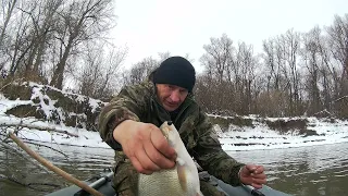 Почти как зимой, но с лодки! Хлыст-кивок выходит на охоту.Рыбалка на Оби в ноябре.