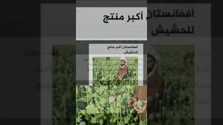 بهذا الفعل حركة طالبان الإسلامية سوف تدخل في صدام معا دولة العميقة ألتي تحكم العالم