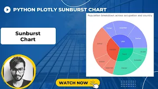 Sunburst Chart | Python Plotly Tutorial #12