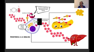 Efectos del ejercicio en la salud metabólica