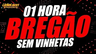 01 HORA DE BREGÃO - SÓ AS PRINCIPAIS MÚSICAS DO FUNDO DO BAÚ PRA VOCÊ CURTIR NO SABADÃOOOOOOOOOOOOO