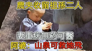 民間故事：農夫收留祖孫二人，妻重病無葯可醫，阿婆：山泉可救她