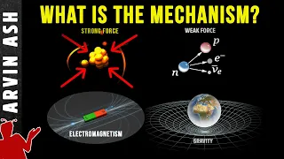 Why & How do the 4 fundamental forces of nature work?