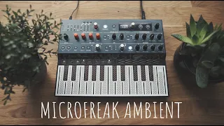 Arturia Microfreak // Ambient