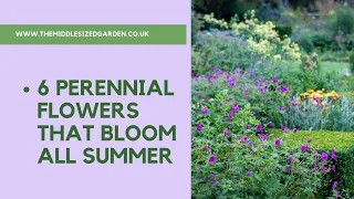 6 perennial flowers that bloom all summer - plus a bonus plant