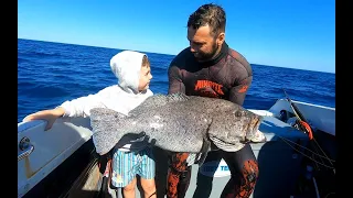 SOUTHERN GREAT BARRIER REEF - SPEARFISHING WITH MATES - XL TUSKFISH MANGROVE JACK JOBFISH PURPLE COD