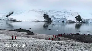 伊瓜蘇瀑布/南極三島之9（南極半島 的Mikkelsen Harbor & Curtiss Bay）