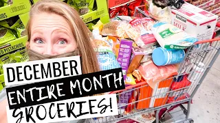 December 2020 MONTHLY Grocery Haul | Shop With on a BUDGET at Costco