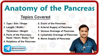 Gross Anatomy Of The Pancreas: Parts, Relations, Neurovascular supply, Venous and Lymphatic drainage