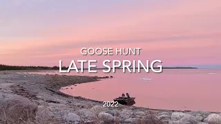 Goose hunt 2022: Late Spring Geese