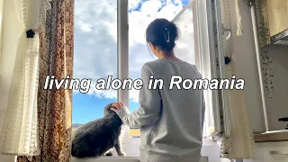 Silent vlog 🤫 freelancer living alone, travelling with my cat, visiting countryside