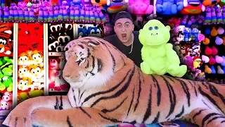 I Won Every Prize At A Theme Park *MrBeast CHALLENGE*