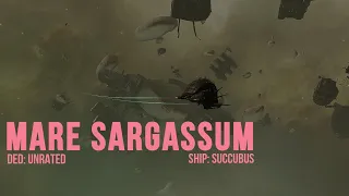 EVE Online: Alpha Character - Mare Sargassum - Succubus