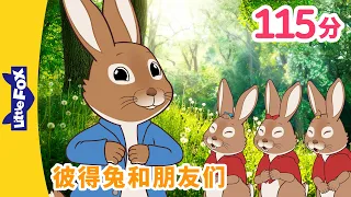 🐰 彼得兔和朋友们 40集 (Peter Rabbit and Friends) |中文字幕 | Classic | Chinese Stories for Kids | Little fox