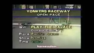 1989 Yonkers Raceway PLAY THE PALACE Open Pace Donald Dancer