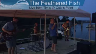 The Feathered Fish: Live @ Coles Point Tims