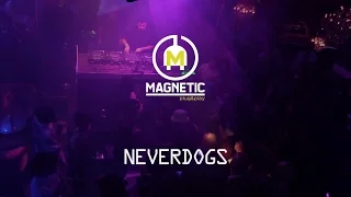 Neverdogs en Magnetic Plug&Play