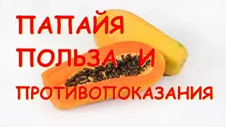 Папайя. Польза и вред для организма.