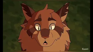 Animation Tribute Warriors Cats Brambleclaw Legends Never Die