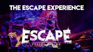 Escape Psycho Circus 2019 - A 4K Mini-Aftermovie