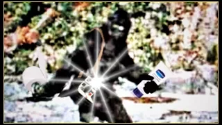 3 Second Video Post for Instagram - BIGFOOT: Born to be Wild