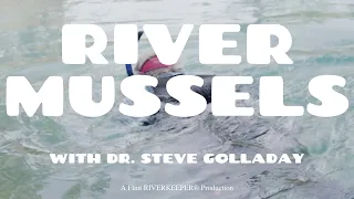 River Mussels with Dr. Steve Golladay