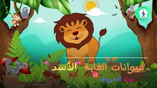 معلومات عن الاسد الحيوانات البرية للأطفال - حيوانات الغابة-Jungle animals#shorts