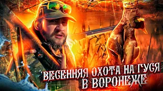 Охота на гуся в Воронеже 2021 - часть 2 | манок на гуся  | звезда полей открытие охоты на гуся 2021