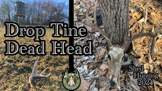Drop Tine Dead Head | Shed Hunting in Kansas & Missouri | VLOG | S. 2 Ep. 2