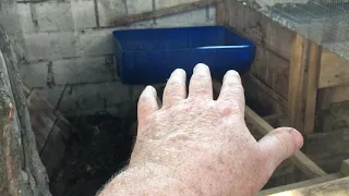 Barrel Worm Bin Under Guinea Pigs   Part 2   Installation