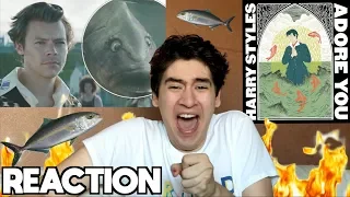 Harry Styles - Adore You [REACTION]