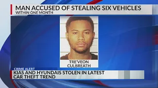 3 Kias, 3 Hyundais stolen in latest car theft trend
