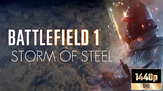 Battlefield 1 - "Storm of Steel" Gameplay PC [1440p 60FPS HDR Ultra Settings]