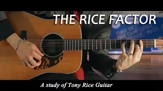 THE RICE FACTOR - by Chris Brennan  #ChrisBrennanguitar #tonyrice