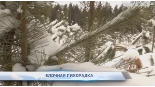 Подробности, выпуск за 24 декабря 2016 года