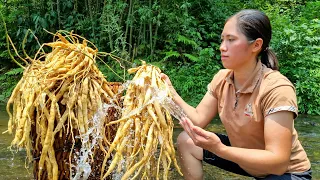 Harvest Herbal Plants in the Forest Go to Market sell - Gardening - Animal care | Tran Thi Huong