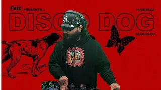 House - Lousy Lover: felt pres. Disco Dog Radio 2 | Seoul Community Radio