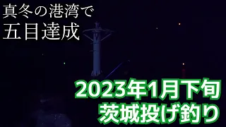 【茨城投げ釣り】真冬の夜に大物と美味しい魚が連発【五目達成】