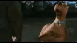 Scooby Doo 2 Desatado (Trailer)