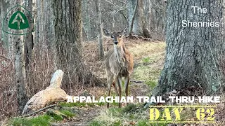 Appalachian Trail Thru-Hike 2024 | Day 62 | Shenandoah Day 4