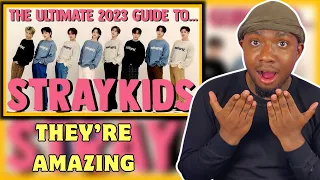 THE ULTIMATE 2023 GUIDE TO STRAY KIDS (REACTION)