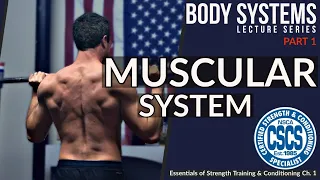 Structure & Function of Muscle | CSCS Chapter 1