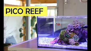 March's Reef Casa 6 Gallon Pico Reef