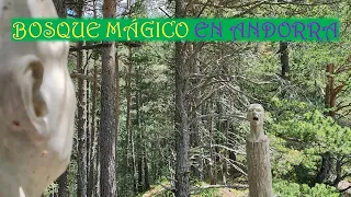 BOSQUE MAGICO EN ANDORRA.