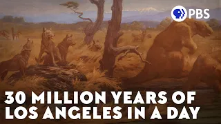 How Plate Tectonics Transformed Los Angeles