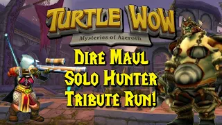 Dire Maul Tribute Solo Hunter  (Turtle WoW Full Run)