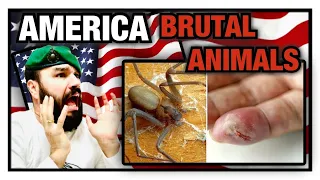 British Marine Reacts To 10 Most Dangerous Animals in the U.S.