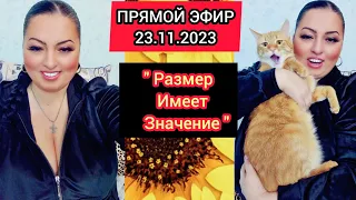 🔴ПРЯМОЙ ЭФИР 23.11.2023 "Размер Имеет Значение " Стрим Tik-Tok Рима Пенджиева